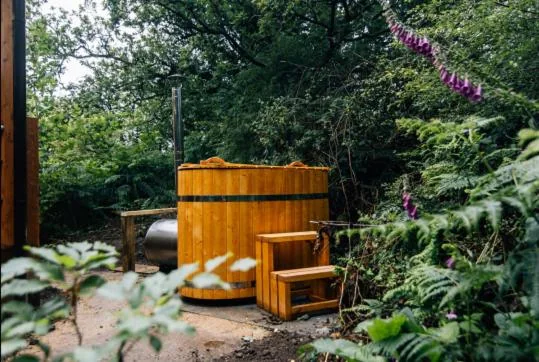Outdoor Kitchen Under the Stars