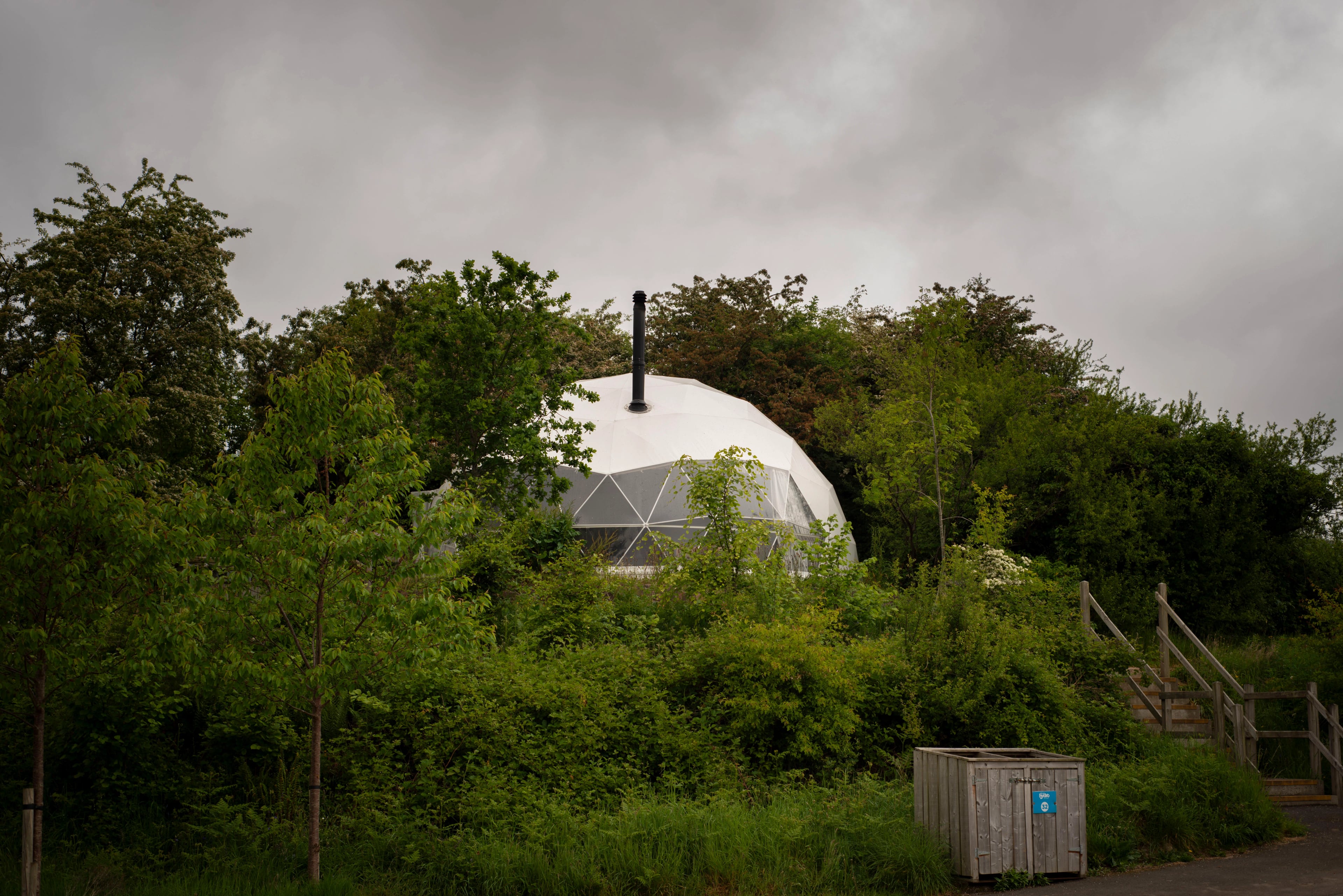 Forest Domes