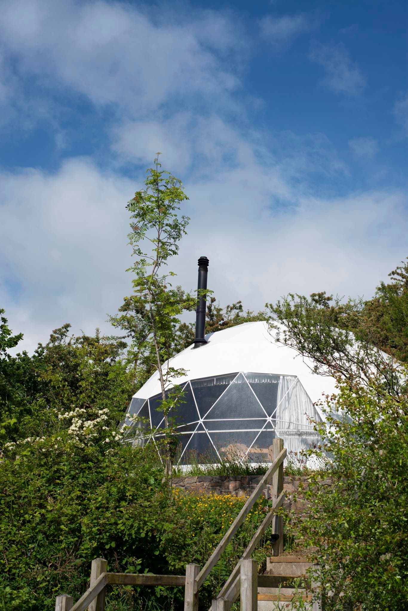 Forest Domes