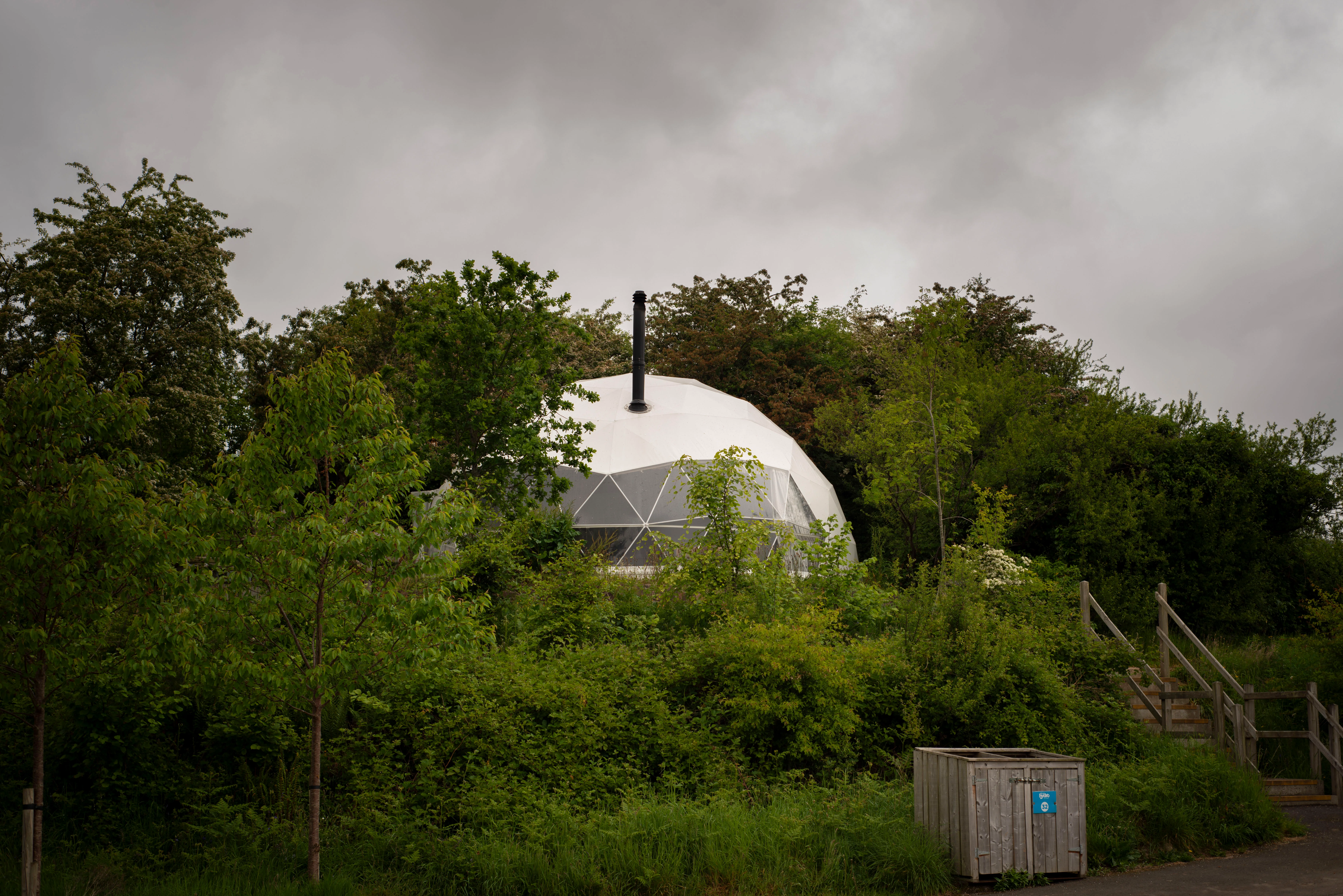 Forest Dome Suite